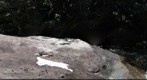 Rio Pirapitinga - Serrinha do Alambari