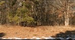Connetquot State Park