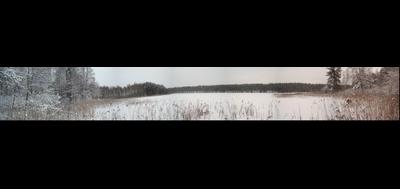 41209-400x189