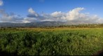 More Mesa Afternoon