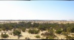 The Pinnacles, Nambung NP (WA) #5 (left eye) 
