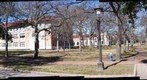 Springtime in Late January on Rice Campus and Blue Sky Too ... Prior to Dim Sum