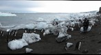 Adelie penguin colony of Cape Crozier from the beach - bis- 