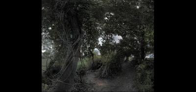 41571-400x189