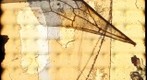 micro gigapan of bee wing