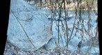 blueriver.100131