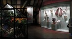 Evolution up2date (room #2 c)