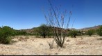 Morning Star Ranch
