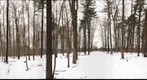 University of Guelph - Dairy Bush - 24 - Feb 03 2010 