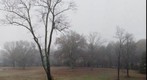 Fredericksburg Battlefield
