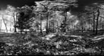 Mohonk (360) New York - Infra Red