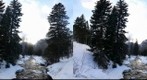 Maroon Creek -Cross View Stereo