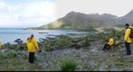 Cooper Bay South Georgia 