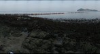 Jindo Sea Parting at Jindo Island, South Korea