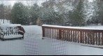 Back Yard Snow Feb 6 2010