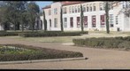 Sunlit Morning View of the Academic Quad on Rice University - a 360-Degree Panorama