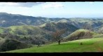 Sunol