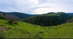 La Ganchosa II