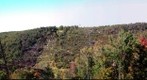Kinzua Viaduct