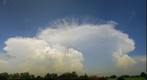 Thunderhead &amp; Spawn
