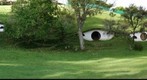 Where Have All the Hobbits Gone?