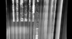 shades.100210.1641