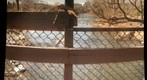 bridge.2.100212