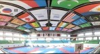Gukgiwon (Taekwondo) World Headquarters main arena
