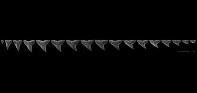 42863-400x189