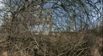 Big Circle Tangle