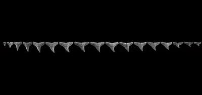 42977-400x189