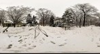 Hartshorne Woods in the Snow (360)