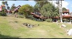 Hotel Selva Negra, Colonia Tovar