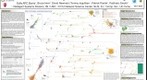 2006 Sociey for Neuroscience Visualization