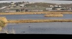 St Ouens Pond, bird hide, Jersey.