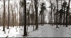 University of Guelph - Dairy Bush - 26 - Feb 17 2010