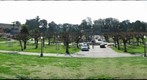 Golden Gate Park - Music Concourse 1