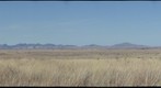Arizona grasslands