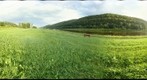 Bad Schandau // Prossen // Elbe
