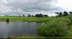 Matamata Sheep farm