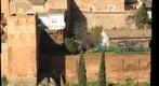 Caceres test