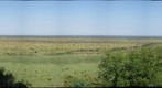 African Savannah 