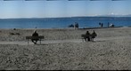 Golden Gardens, Seattle, February 20