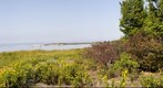 Spermaceti Cove (360) Sandy Hook