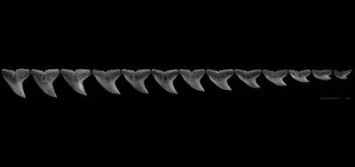 43250-400x189