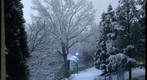 snow.100221