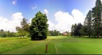 8th tee