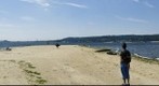 Skeleton Hill Island (360) Sandy Hook
