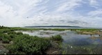 Boardwalk (360) Spermaceti Cove, Sandy Hook