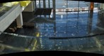 whereRU: BioMaterials Building